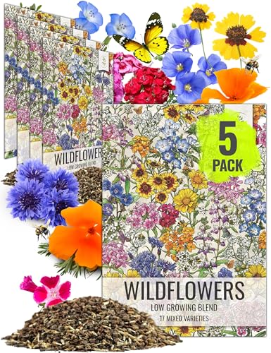 Low Growing Wildflower Seed Mix 5 Bulk Packs (5 Count)