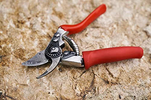 F 15 Pruning Shears