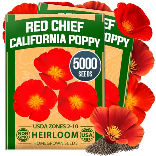 Red Chief California Poppy Seeds