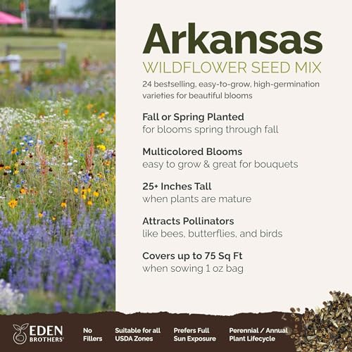 Arkansas Wildflower Mixed Seeds for Planting