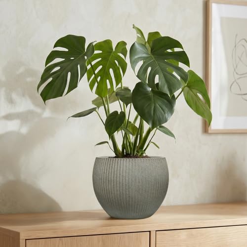 10.2"Dia x 7.8"H Modern Ribbed Plastic Planter Pot with Drainage (Vintage Sandstone-10.2"d X 7.8"h)