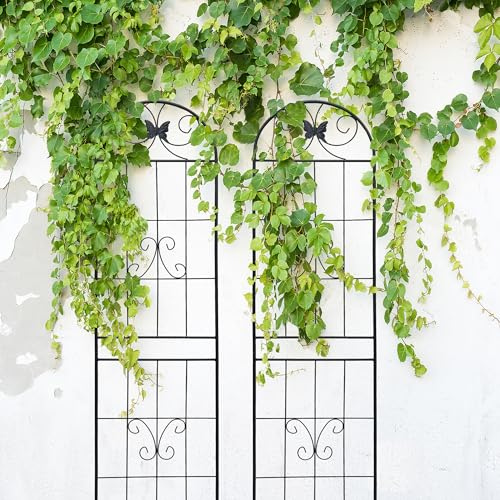 2 Pack Garden Trellises with Black Metal Coating