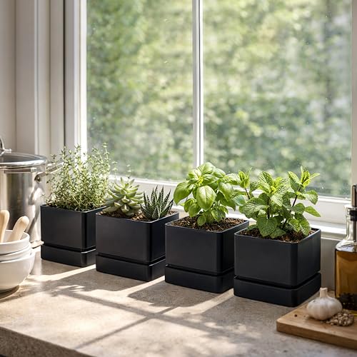 4 Pack Plastic Herb Planter Pots (4 Count)