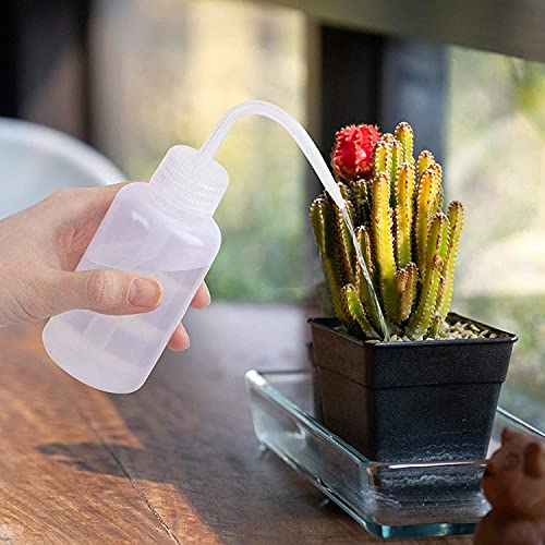 Succulent Tools