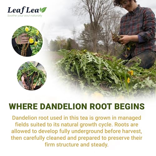Dandelion Root Tea (40 Count)