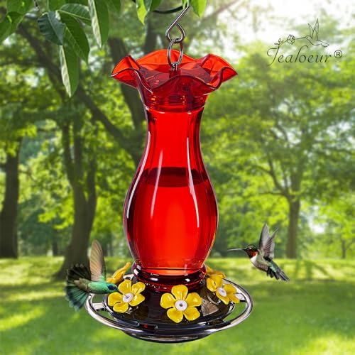 Hummingbird Feeder for Outdoors Hanging