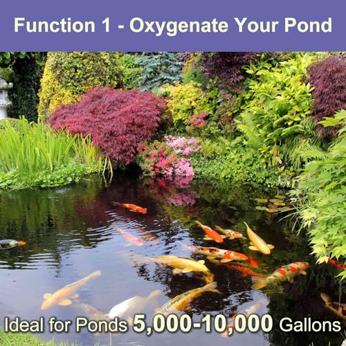 Koi Pond Aerator Pond Air Pump with Self