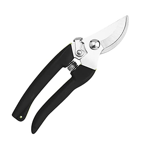 Curve Gardening Scissor with Sharp Stainless Steel Blade Garden Shears for Cutting Flowers Trimming Plants of Yard Florist Flower Rose Herb Hedge Bonsai and Fruits Picking