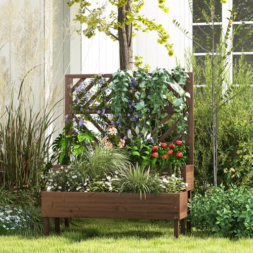 Raised Garden Bed with Trellis & 2 Planter Boxes