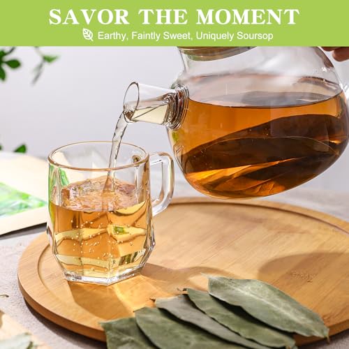Soursop Leaves Tea (170 Count)