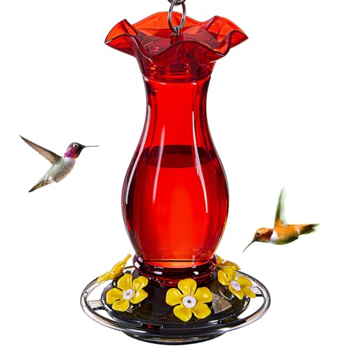 Hummingbird Feeder for Outdoors Hanging