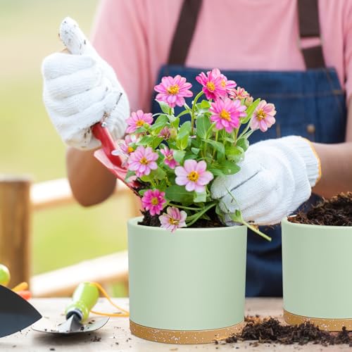 8/7/6 inch Plant Pots, 3 Pack Cylinder Flower Pots for Outdoor Indoor Plants, Decorative Plastic Planters with Drainage Holes and Saucers for Garden House Plants, Green with Brown (Green With Brown / 8"+7"+6")