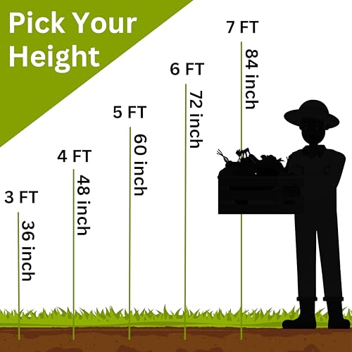 6 Ft Fiberglass Eco Friendly Garden Stakes 20 Pack
