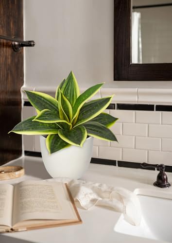 Artificial Snake Plants 9" Faux Agave Succulent Plant Potted in White Pot Fake Sansevieria Aloe Tropical Plant for Desk Modern Office Home Bathroom Indoor Outdoor Decor (Green #2)