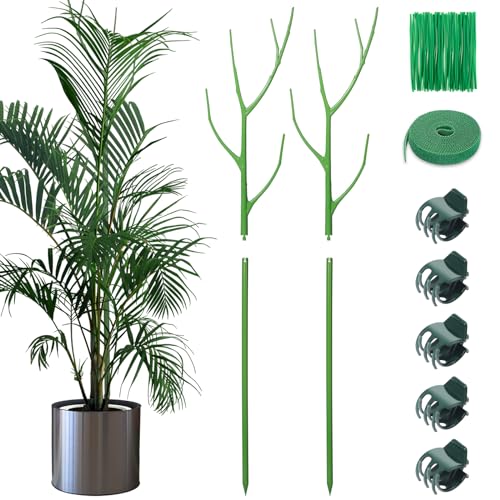 2 Pack 27.56" Detachable Twig Plant Support Stakes Set