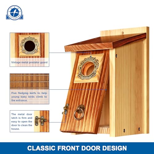 2 Pack Premium Bird House
