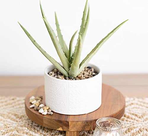 Artificial Plant in White Ceramic Pot