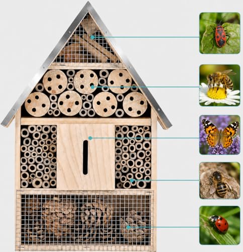 Wooden Mason Insect Bee Butterfly House (500 Gram)