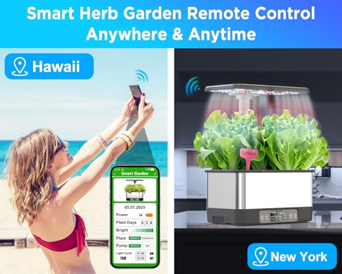 Hydroponics Growing System (8 Count)