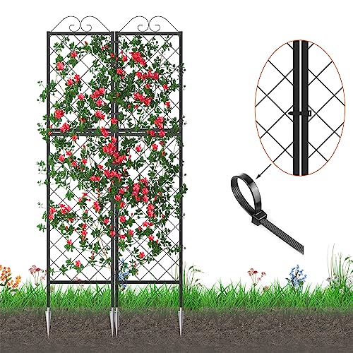 2 Pack Metal Garden Trellises for Climbing Plants