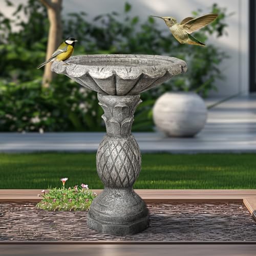 24.8" H Cement Modern Outdoor Bird Bath