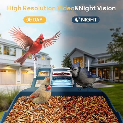 FHD Bird Feeder with Camera