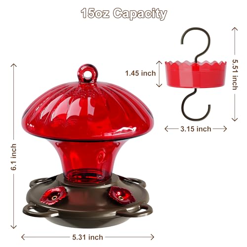 Glass Hummingbird Feeders for Outdoors Hanging