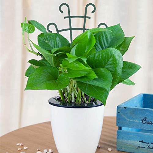 12 Pcs Trellis for Potted Plants (12 Count)