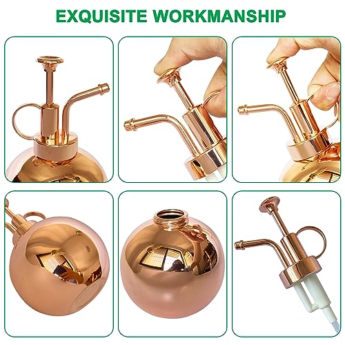 Stainless Steel Plant Sprayer
