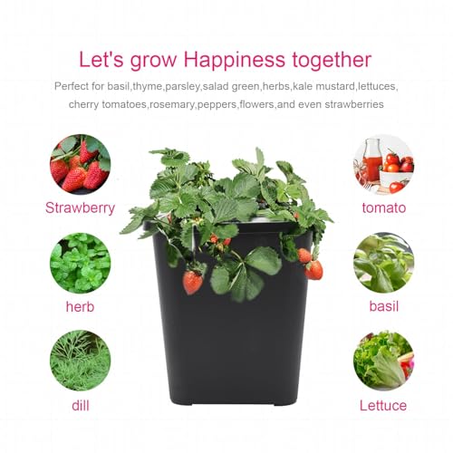 DWC 2 Hydroponic Buckets Kit for Plants
