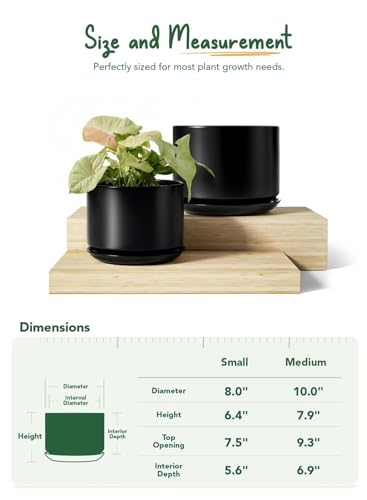 Ceramic Plant Pots (Black / 8"+10")