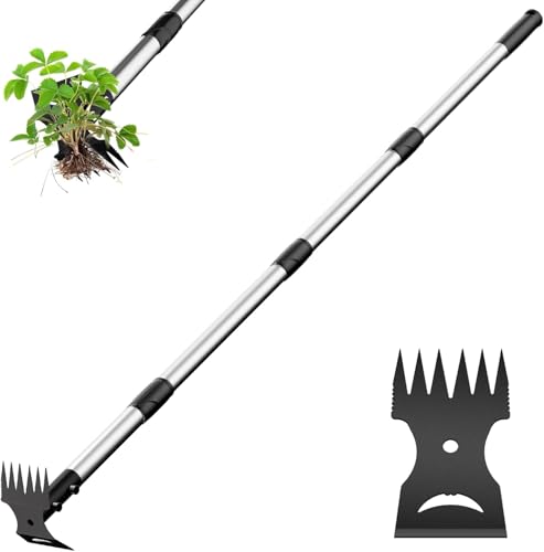 Weed Puller Tool with Long Handle 2 (16 Ounce)