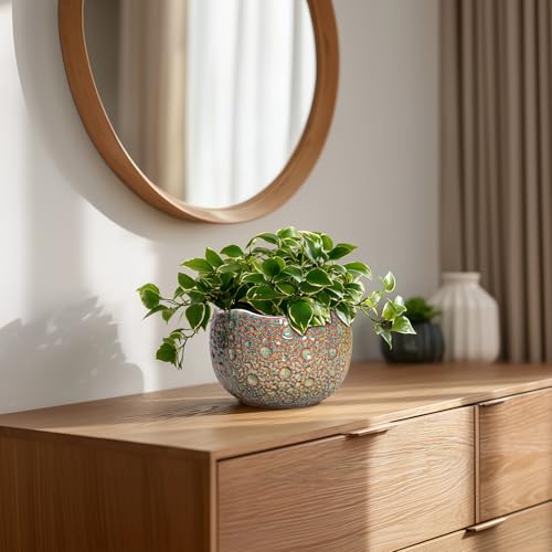 Ceramic Plant Pots (6.2 Inch / Speckled-brown)