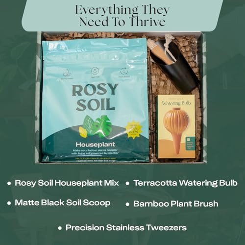 Plant Parent Essentials Gift Box (Plant Parents Gift Box / Gift Box)