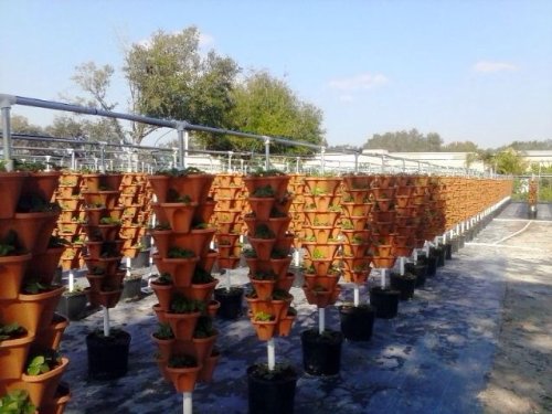 Vertical Gardening Planters (36 Count)