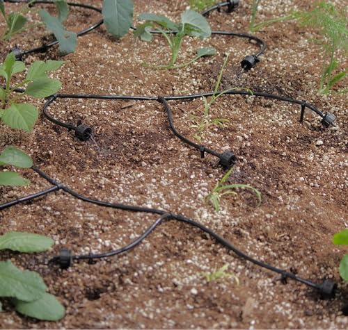 Solar Powered Automatic Watering Drip Irrigation System