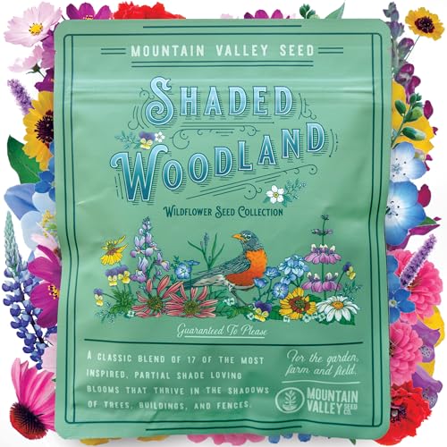 Mountain Valley Seed Co Wildflower Seed Bulk (80000 Count)