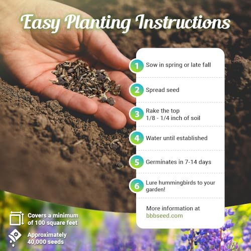 BBB Seed Hummingbird Flower Seeds Mix