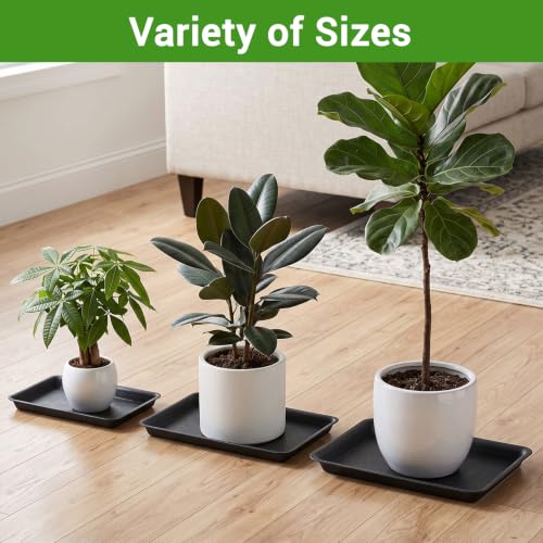 6PCS Seed Starter Tray (15 Inch / Black-6 Packs)