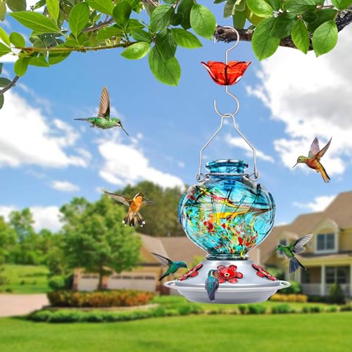 Hummingbird Feeders for Outdoors Hanging