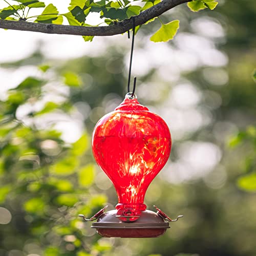 2 Packs Hummingbird Feeder for Outdoors Hanging Ant and Bee Proof