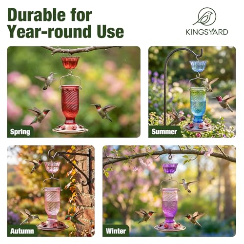24 Oz Glass Hummingbird Feeder for Outdoors