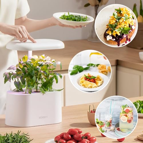 Asian Herb Seed Pod Kit for AeroGarden (7 Pod)