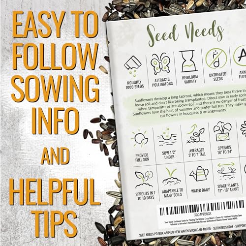 Sunflower Seeds to Plant Sunset Blend 1000 Seeds Bulk Pack