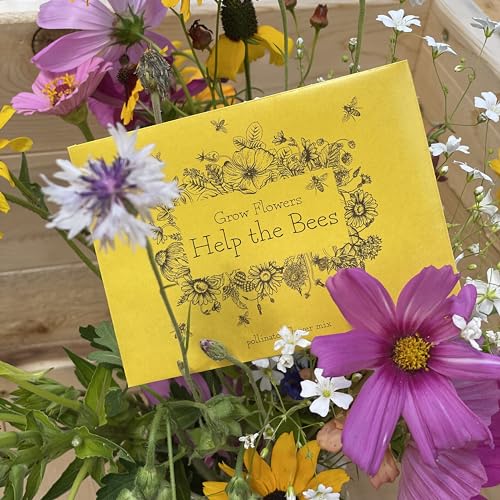 Bentley Wildflower Pollinator Mix (25 Count)