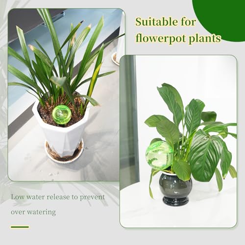 3pcs Large Plant Self Watering Globes (3pack / Green)
