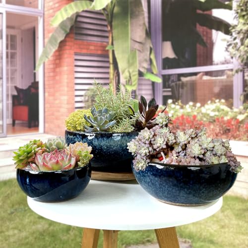 11 9 7 Inch Succulent Pot with Drainage and Mesh Pads Large Round Ceramic Plant Pot for Indoor Outdoor Plants Succulent Planter Cactus Bonsai Pot Container Set of 3 (3 Count)