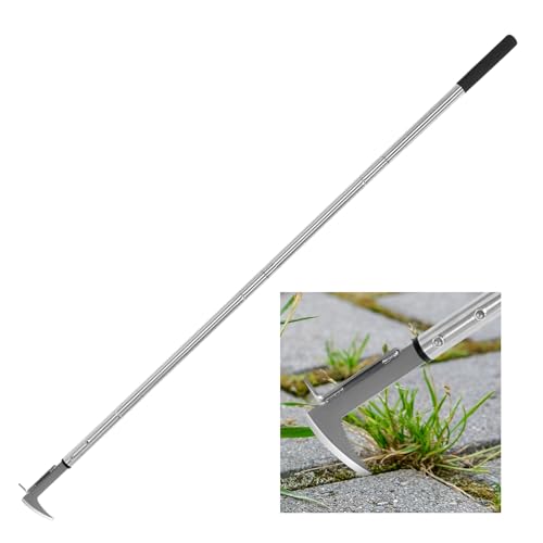 Crack Weeder Stainless Steel Manual Crevice Weeding Tool