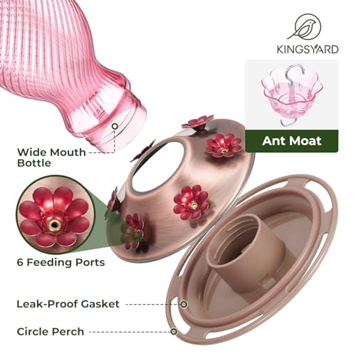 24 Oz Glass Hummingbird Feeder for Outdoors