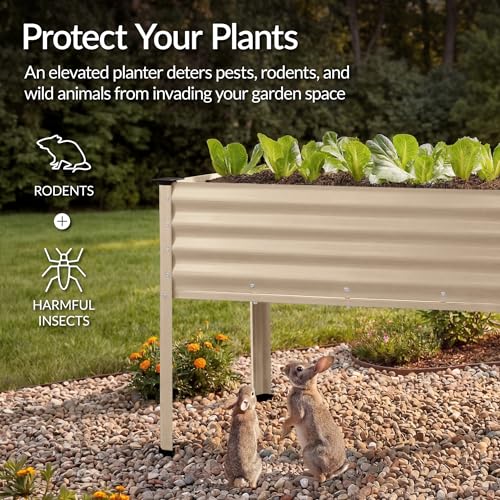 48x24x30in Galvanized Raised Garden Bed